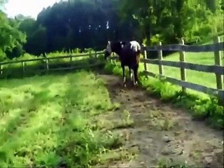 Whatever Tomorrow Brings, I'll be there. ♥