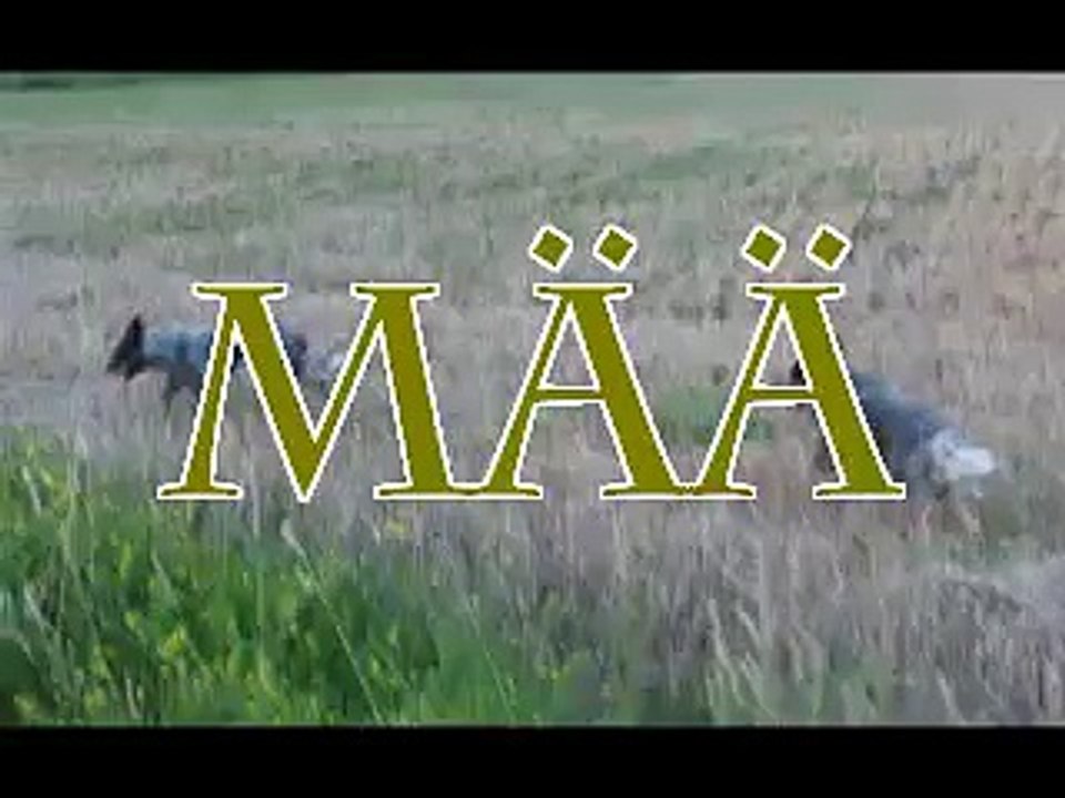 MÄÄ
