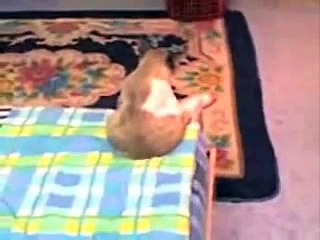 dotak'o sam dno zivota