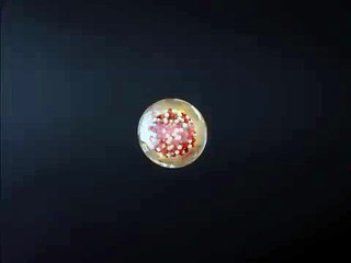 fission reaction atomic bomb