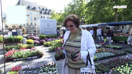 Take A Walk - Luxembourg, LUXEMBOURG