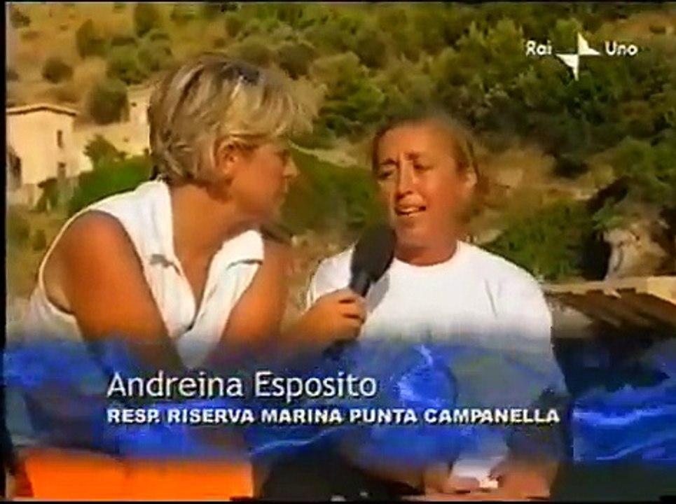 Linea blu 2003 - Punta Campanella - Positano - Li Galli.avi