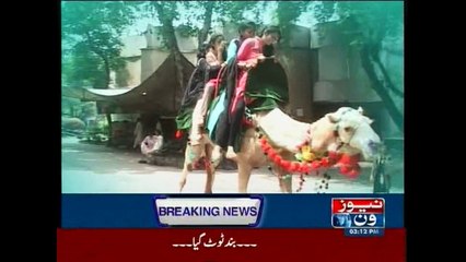 People of Lahore enjoy weather at Zoo