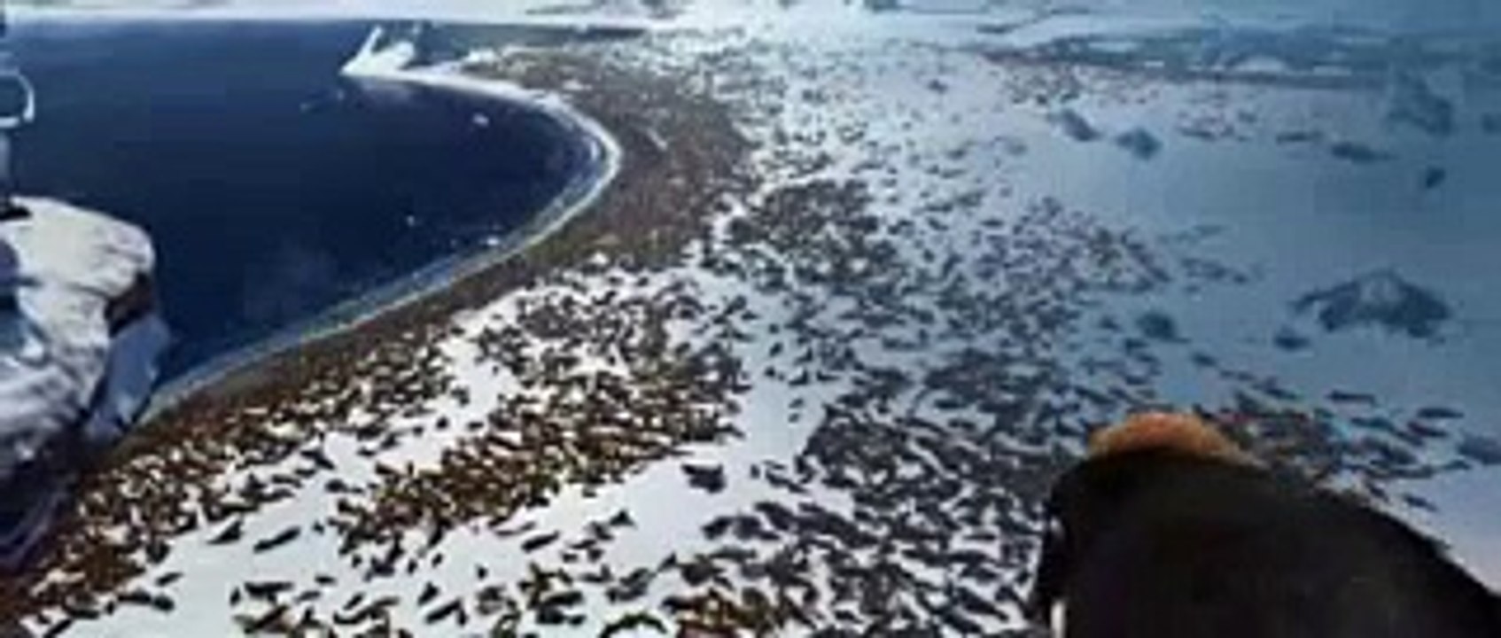 Funny Happy Feet Clip