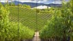 Napa Valley California Wine Country #7