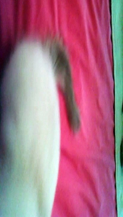 5bbkd3