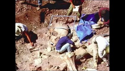 Top secret Wikileak government conspiracy depopulation via fake UFO attacks.