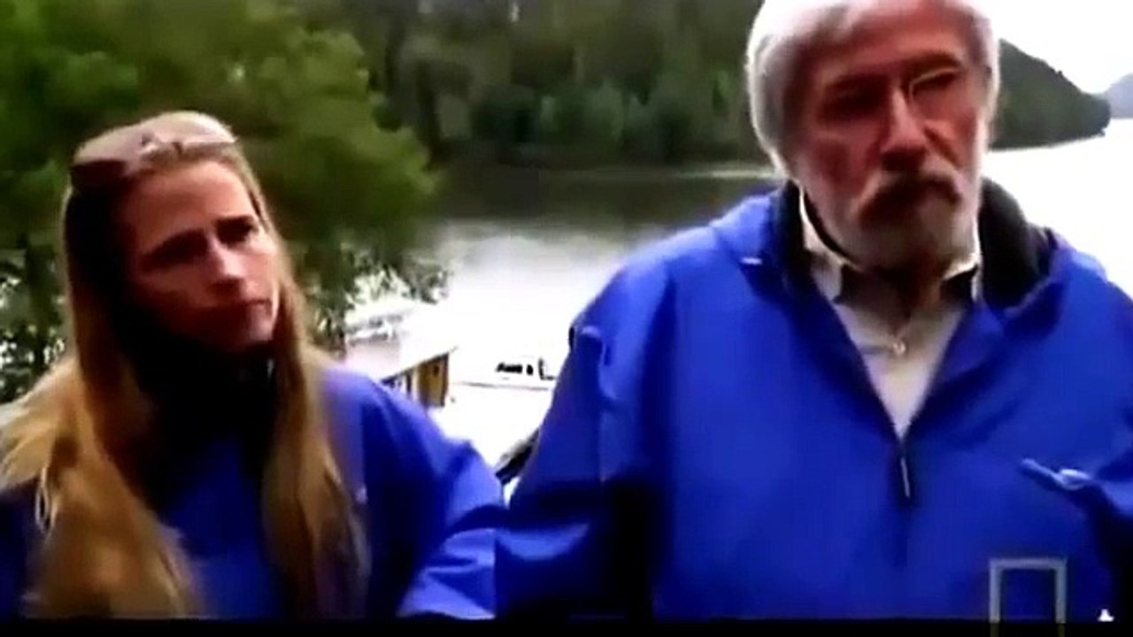 Orca Attack Blue Whale | Animal Planet 2015 | Wildlife Documentary | National Geographic A