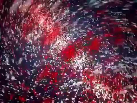 Hitler Had Jewish, African Ancestry (DNA Test)