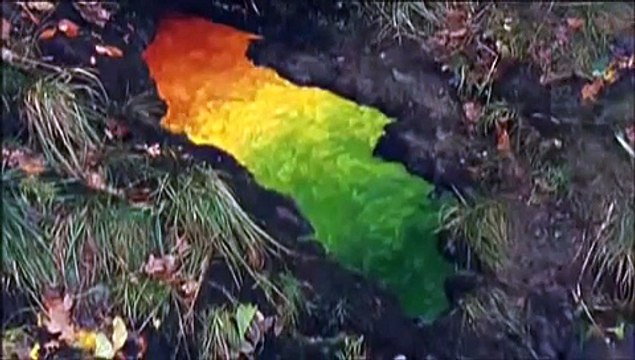 Andy Goldsworthy Rivers and tide 2003