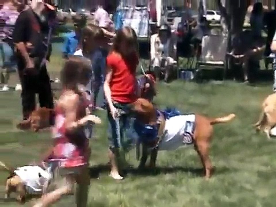 Freedom Dog Parade Chino Valley Arizona