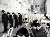 ultraortodoxos judíos  muro de las lamentaciones (jerusalem)