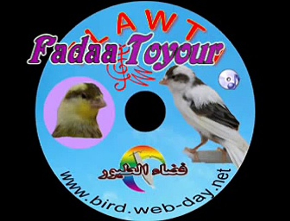 CD CHANT DE CANARI FLAWTA