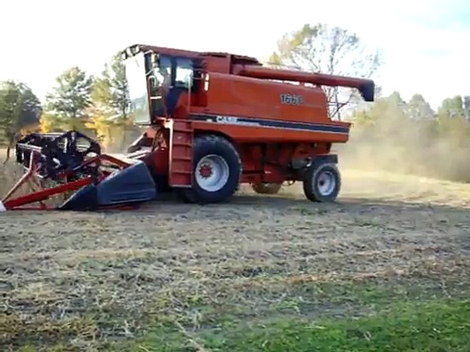 Soybean Harvest 2009- Case IH 1660