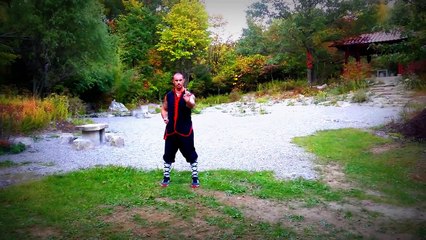 Fu Hok Seung Ying Kuen (Tiger Crane Fist)