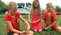 Neushoornkever gesignaleerd op camping Lauwersoog - RTV Noord