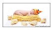 Set of 5 Yellow Chicks Photo Prop Photography set Baby Chick