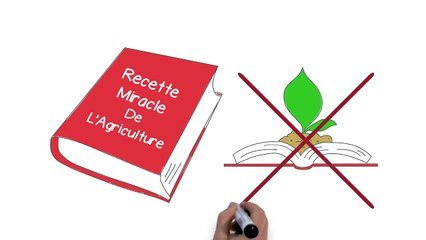 CHAMBRE AGRICOLE - Comprendre l'Agroécologie et l'AEI
