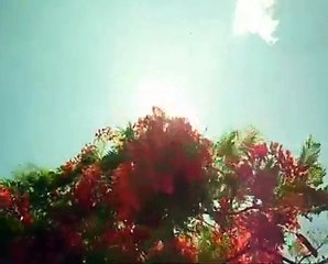 Cantico  109 salve o filho de Jeová ele e jesus e acesse jw org