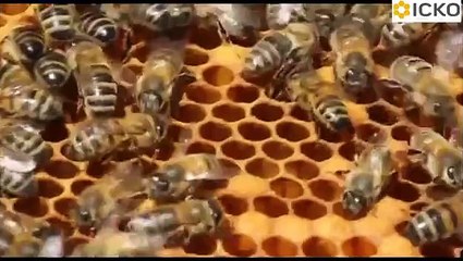 10 comment utiliser enfumoir