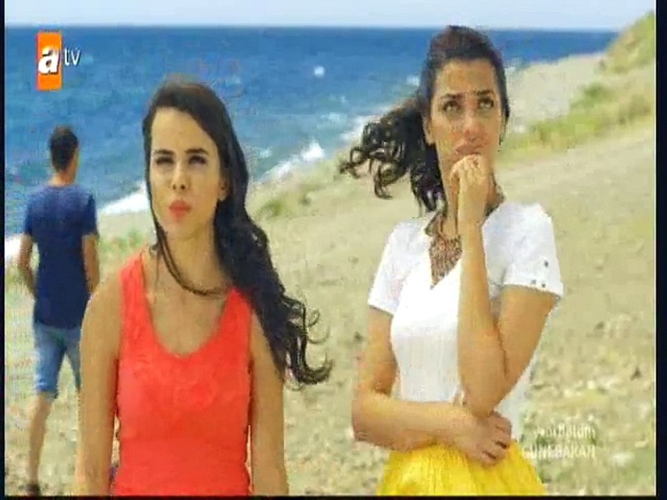 a1