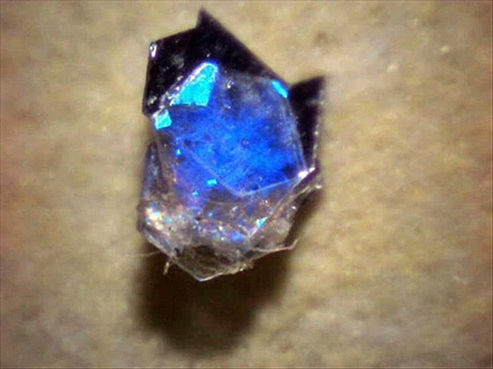 Mystery Micro Objects #1 - UFO; Morgellons; Microchip ?