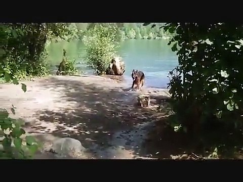 Je t'aime TWIST, tu me manques !.wmv