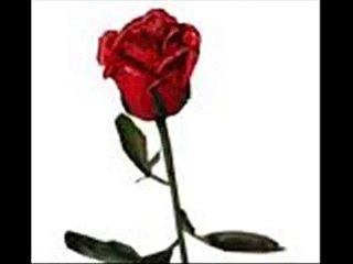 Mike Brant qui pourra te dire