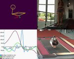 Gait Analysis - Comparison Duck vs. Human Gait - with Simi Motion