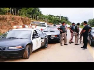 P.F   POLICIA FEDERAL DE CAMINOS