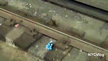 A Rat's Life in New York City - Rats Rule NYC - Rat Infestation in NYC Subway - Splinter