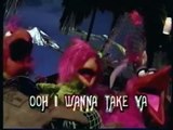 MIDI Hell - The Muppets Sing Kokomo