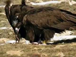 Mancha y Nouanda, dos jóvenes franceses en Boumort
