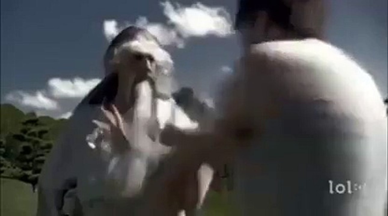 Do not Take off your Eyes- Funny Karate