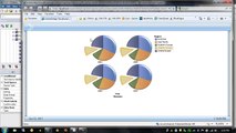 IBM Cognos BI - Create a Dynamically Exploding Pie Chart with IBM Cognos Active Report