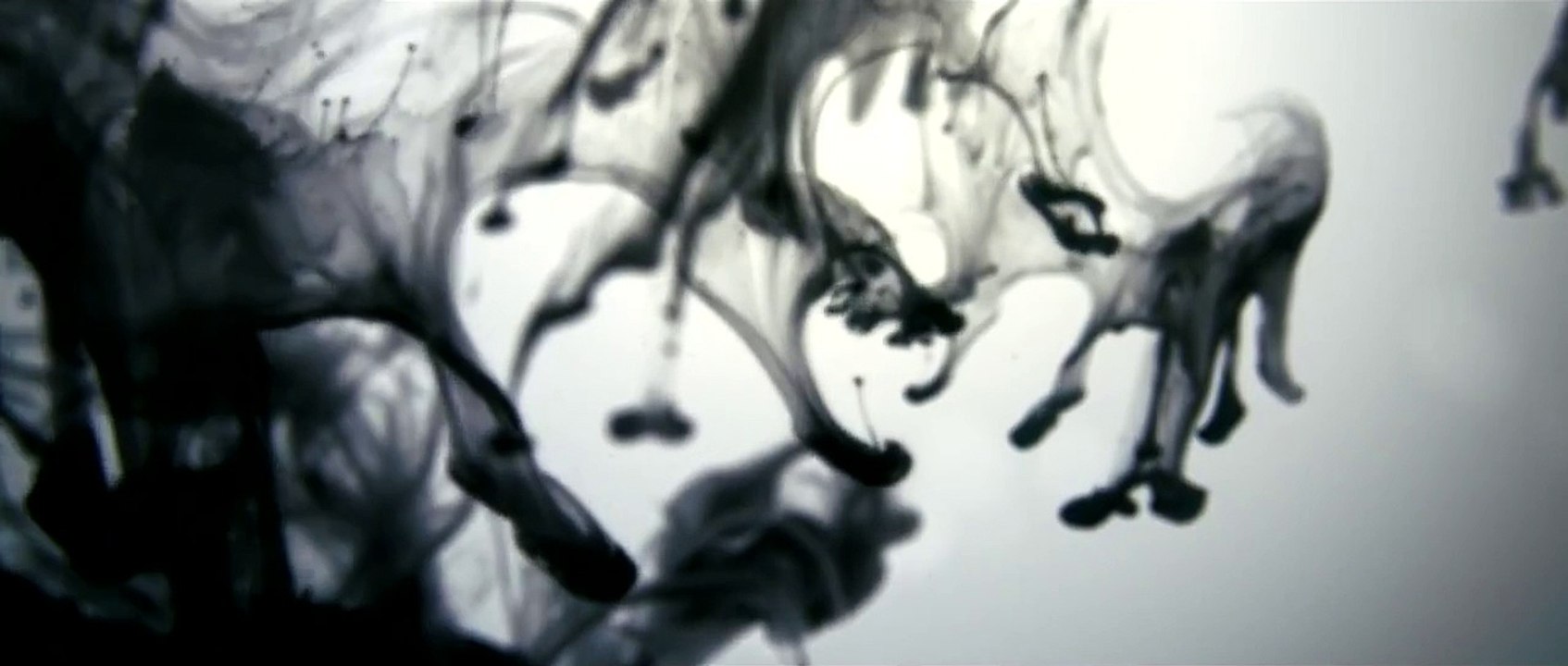 Black Ink - Porsche 911 Carrera Black Edition models