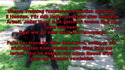 Hundetraining ohne Worte, Teil 2, Hundeschule  "Dat Moorhuuske" Ihlow (Birgit Hartmann)