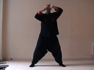 Tandava, la danse de Shiva/Shakti (3), Daniel Odier