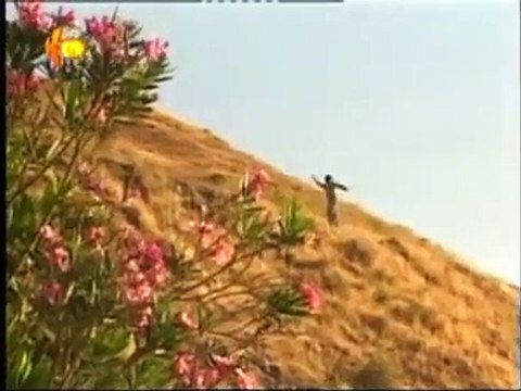 Sivan Perwer - Ey Ferat