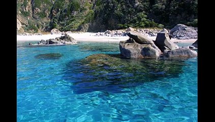 Notte bella, magnifica Amedeo Minghi