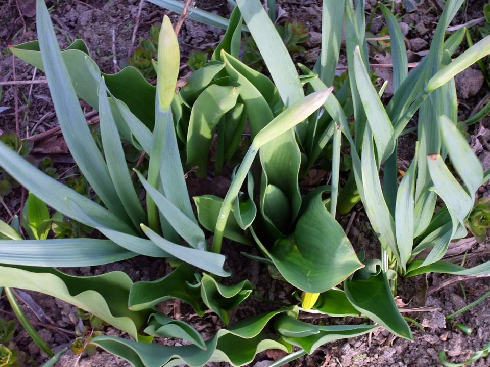 Ein feiner toller Campingplatz in Klein Waabs an der Ostsee