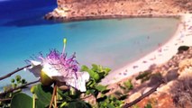 Rabbit Beach Lampedusa, Islands of Sicily