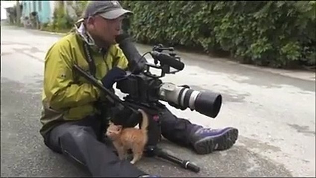 You can not choose a cat - Cat chooses you