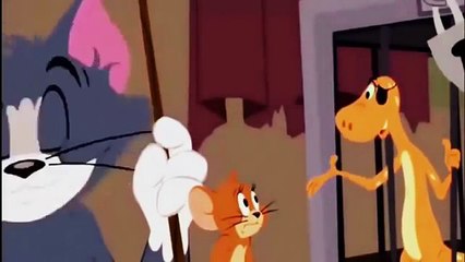 Tom And Jerry 2015 Cartoon For Kids Children HD 2016