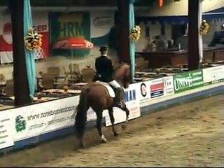 ZZ-Licht Dressuur - Rita de Jong-Bergsma met Padirmo