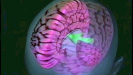 split brain experiments- roger sperry