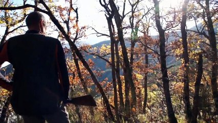 Chasse à la Bécasse dans les Apes de haute provence