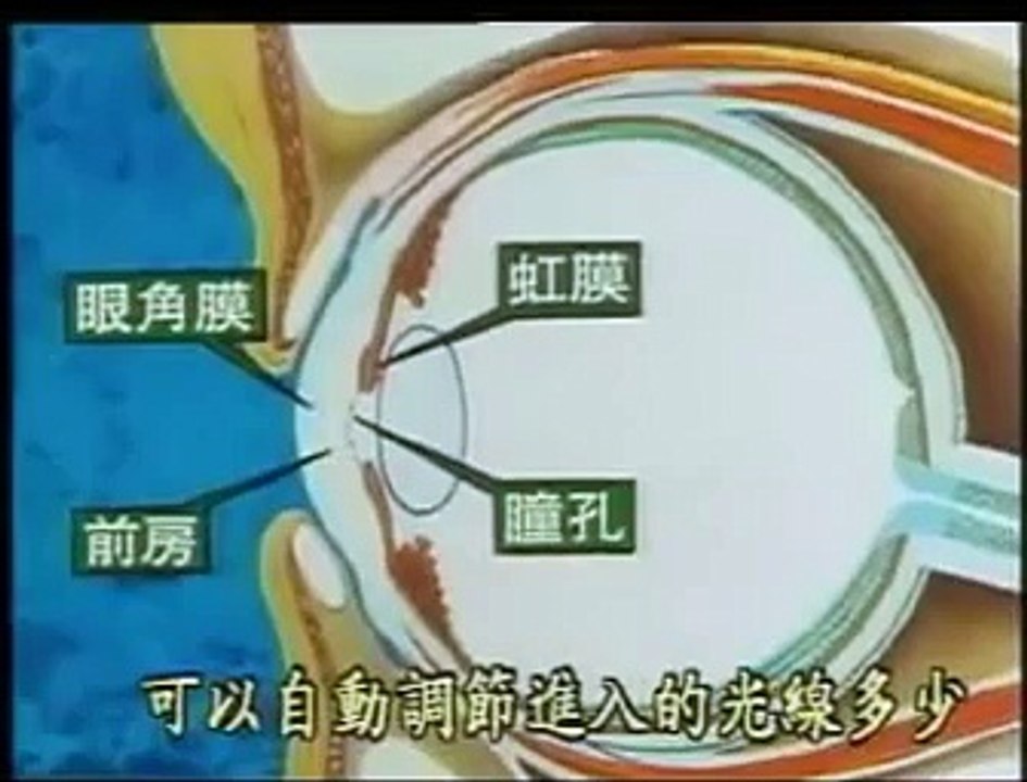 視力保健宣導影片－照相機篇 13.mps