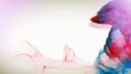 [Effortless English] - Lesson 23 -Media 1 - Full Audio+Vocab+Mini Story+ POV+ Commentary