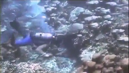 Undersea UFO Probe Filmed At Bermuda Islands